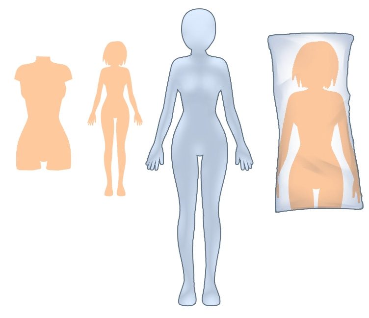 Sex doll types: torso, mini sex doll, sex doll torso and hentai pillow